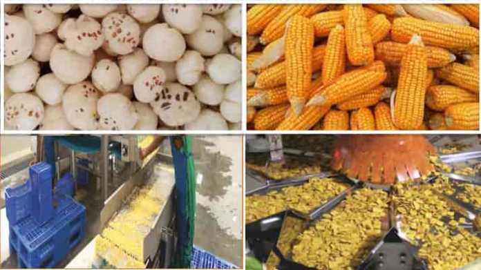 agriculture sector industry on subsidy
