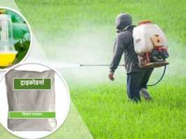 bio pesticide anudan