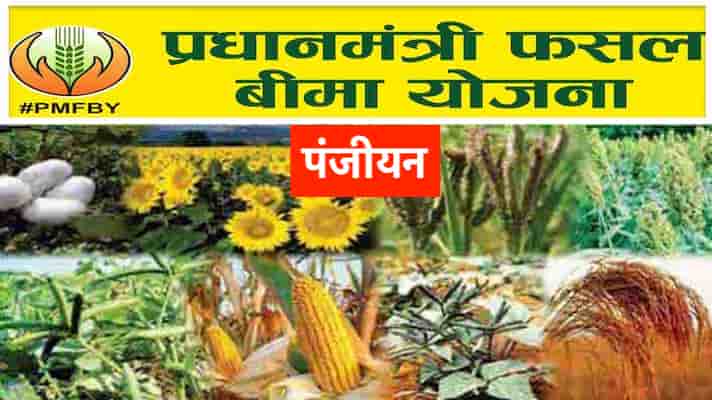 फसलों को होने वाले नुकसान की भरपाई के लिए किसान 31 जुलाई तक इस तरह कराएँ अपनी फसलों का बीमा