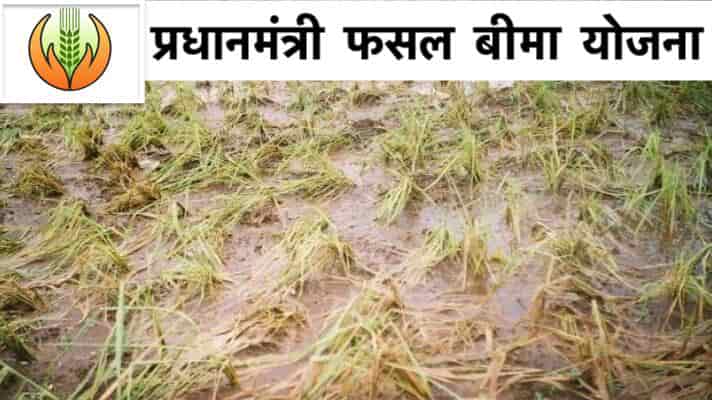 मुख्यमंत्री ने की अपील, किसान 15 जुलाई तक कराएँ अपनी फसलों का बीमा