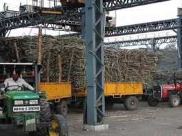 share of cooperative sugar mills
