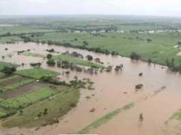 crop losses due to heavy rain