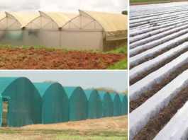green house shade net house and plastic mulch anudan avedan