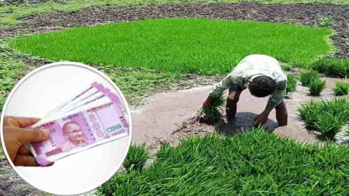 3 लाख रुपये तक के कृषि ऋण पर दिया जायेगा 1.5 प्रतिशत ब्याज अनुदान, मंत्रीमंडल ने दी मंजूरी