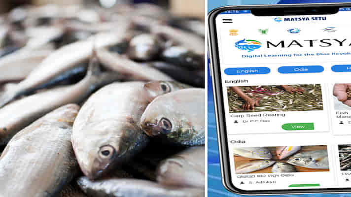 अब इस एप पर आसानी से खरीद एवं बेच सकेंगे मछली एवं मछली पालन से जुड़ी हुई सामग्री