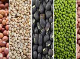 MSP purchase of groundnut, tur, urad, moong and sesame