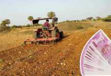 agriculture interest free loan