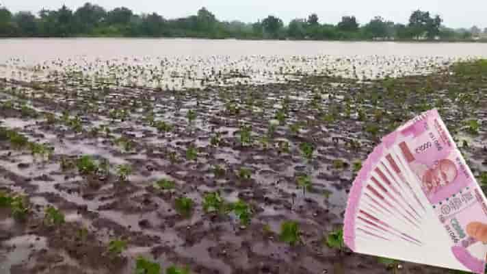 किसानों को जल्द दिया जायेगा बारिश से हुए फसल नुकसान का मुआवजा