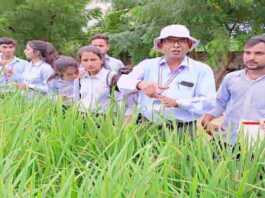 Incentive amount for studies in agriculture