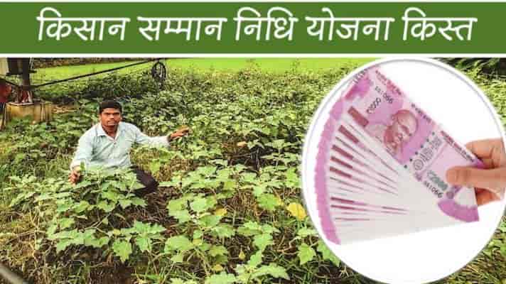 17 अक्टूबर के दिन प्रधानमंत्री किसानों को जारी करेंगे 16,000 करोड़ रुपये की पीएम-किसान सम्मान निधि