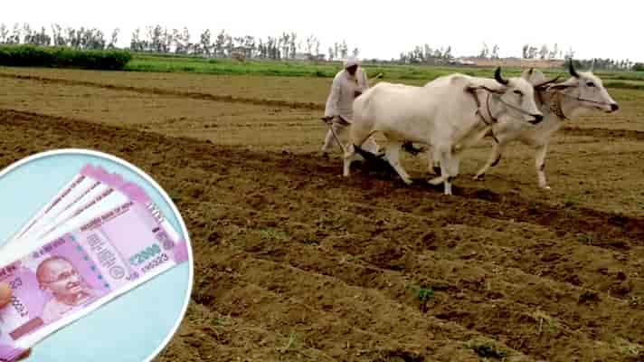 सूखा प्रभावित 30 लाख से अधिक किसानों को दी जाएगी 3500 रुपए की सहायता राशि