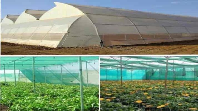 poly house shade net vegetable subsidy