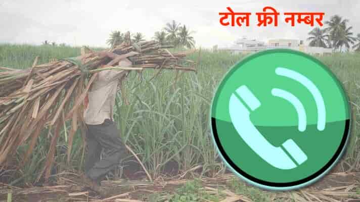 गन्ना किसानों की सहायता के लिए जारी किया गया टोल फ्री नम्बर