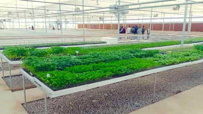 Semi-arid Indo-Israel Center of Excellence for Horticulture