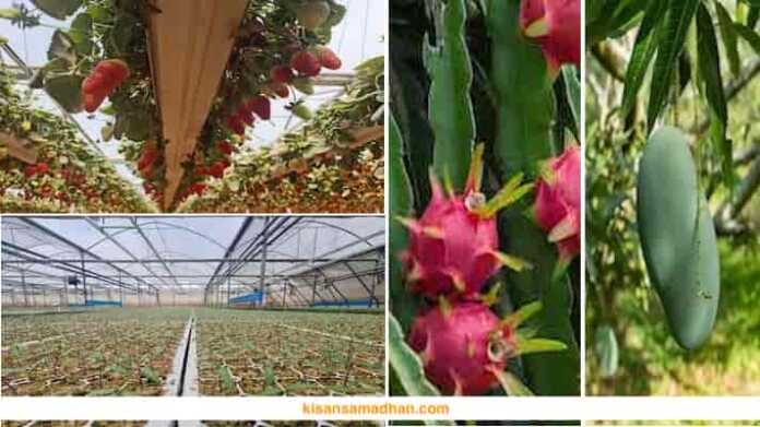 Center of Excellence for Demonstration and Training of Horticulture Crops