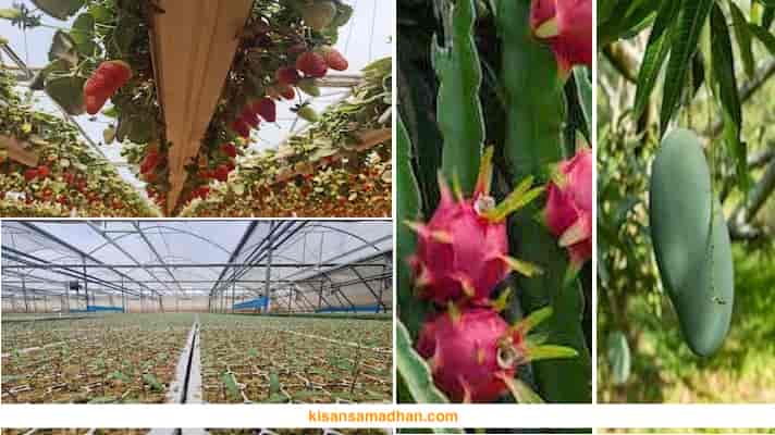 Center of Excellence for Demonstration and Training of Horticulture Crops