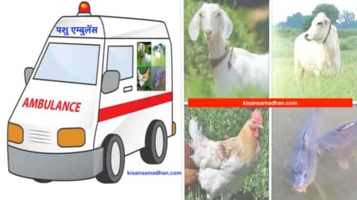 pashu upchar ambulance seva