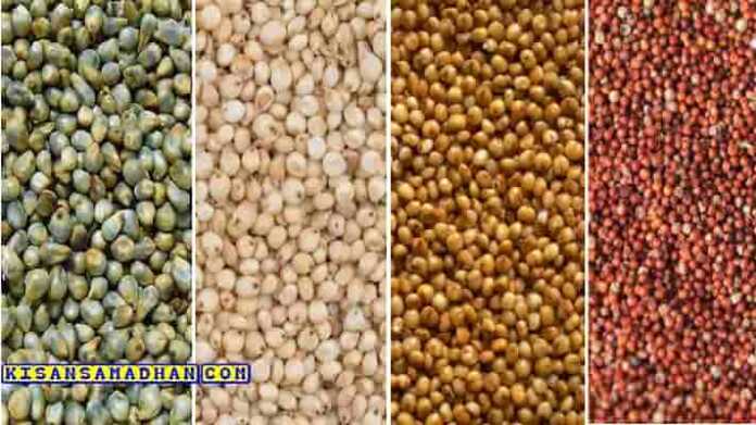 millets seeds subsidy mp
