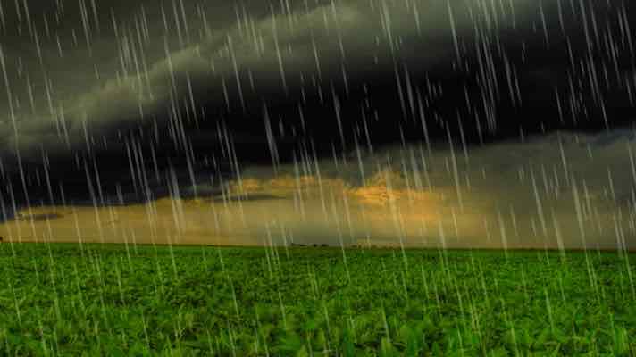 मौसम चेतावनी: 30 अप्रैल से 2 मई के दौरान इन जिलों में हो सकती है बारिश एवं ओला वृष्टि