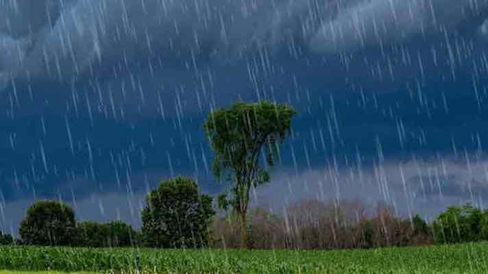 monsoon forecast 2023