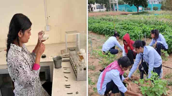 कृषि क्षेत्र में पढ़ाई करने वाली छात्राओं को सरकार दे रही 40 हजार रुपए तक की प्रोत्साहन राशि, ऐसे मिलेगा लाभ 