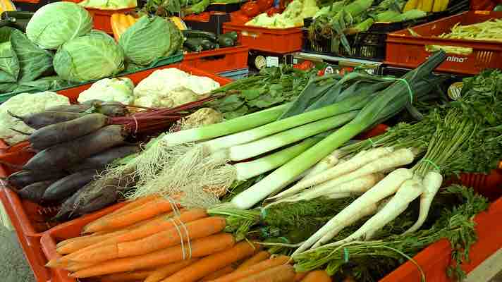 vegetable seeds subsidy
