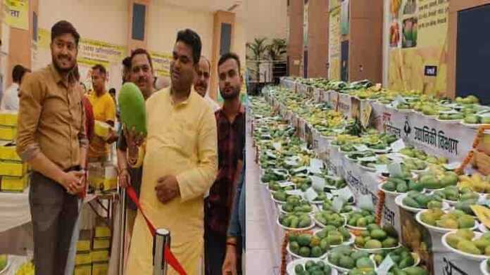 most expensive variety of mango