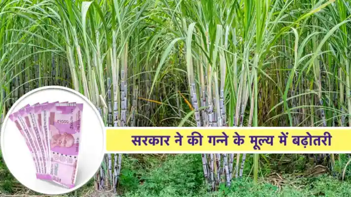 Increase in price of sugarcane