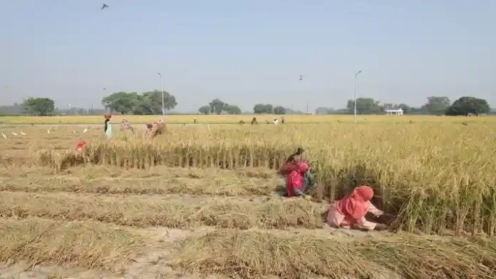 Farmer Suicides in India Report 2022 NCRB