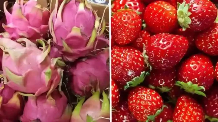 Subsidy for Cultivation of Dragon fruit and Strawberry