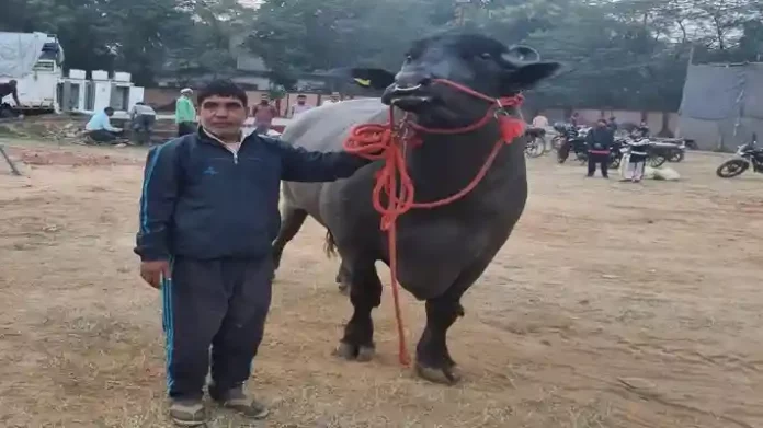 Dairy and Cattle Expo 2023 Bihar