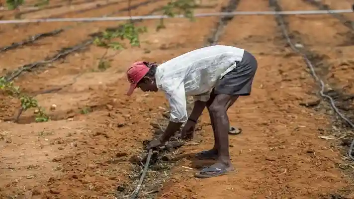 Farmer Training Sarkari Yojna