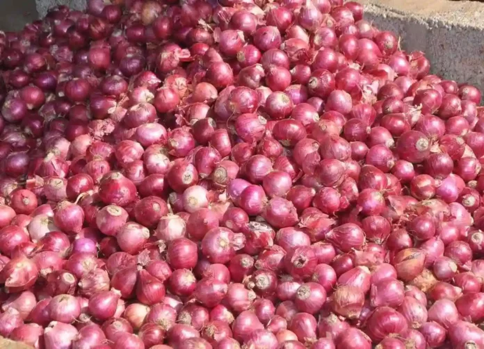 Onion Export News Today