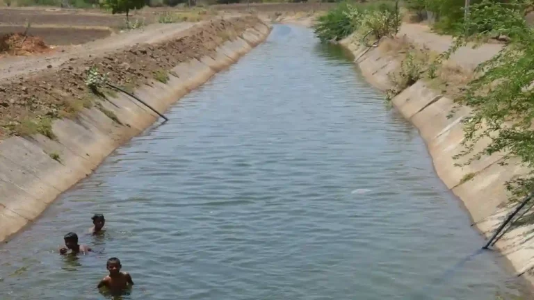 सिंचाई के लिए नहरों में पानी देने के लिए जल संसाधन विभाग ने जारी की एसओपी, किसानों को इस समय मिलेगा पानी
