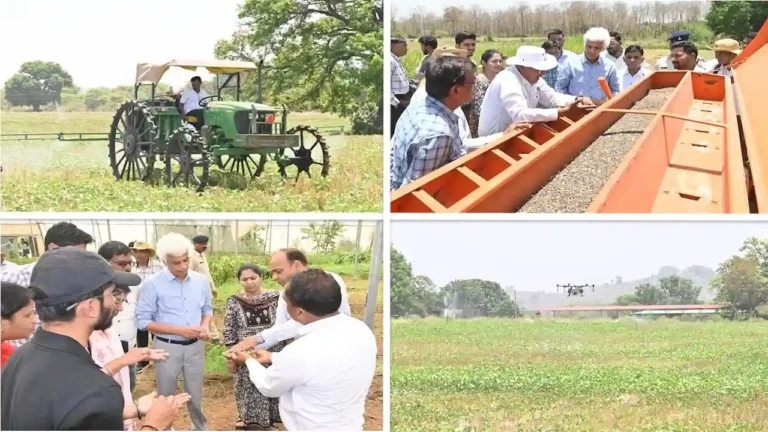 बोरलॉग संस्थान द्वारा की जा रही है नई तकनीकों से खेती, देखने पहुँचे कलेक्टर