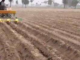 maize sowing with raised bed planter