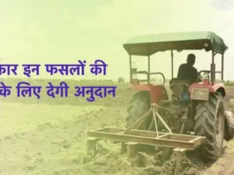 Jharkhand Millet Yojana