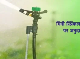Subsidy on Mini Sprinkler Set