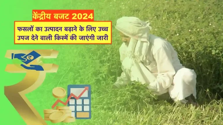 Budget 2024 News Update
