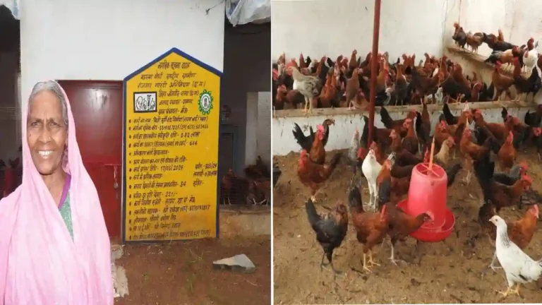 Murgi Palan Ke liye Shade Anudan