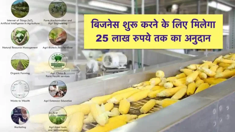 Subsidy and Loan To Start Agriculture Business