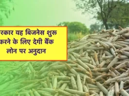 agriculture business Loan Subsidy on Bajra