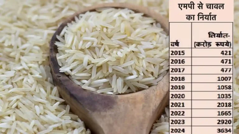 Rice Export MP