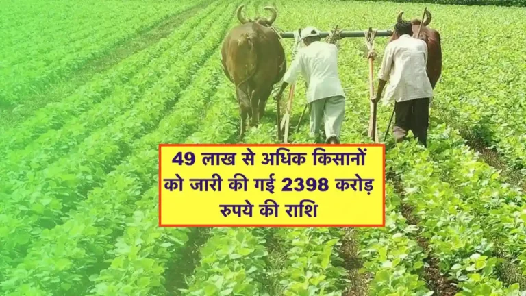 Soybean And kapas subsidy Maharashtra