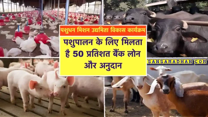 pashupalan loan or Subsidy Yojana