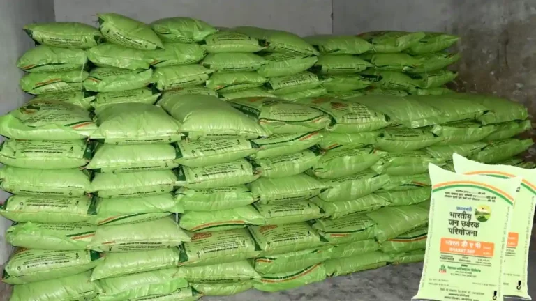 DAP Khad Import Rabi 2024