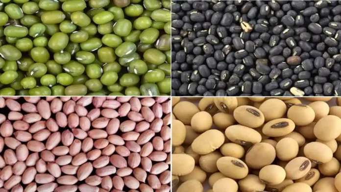 Mung Urad mungfali aur soyabean ki kharid