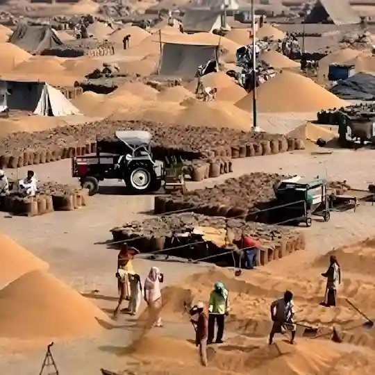 Aaj ka Mandi Bhav