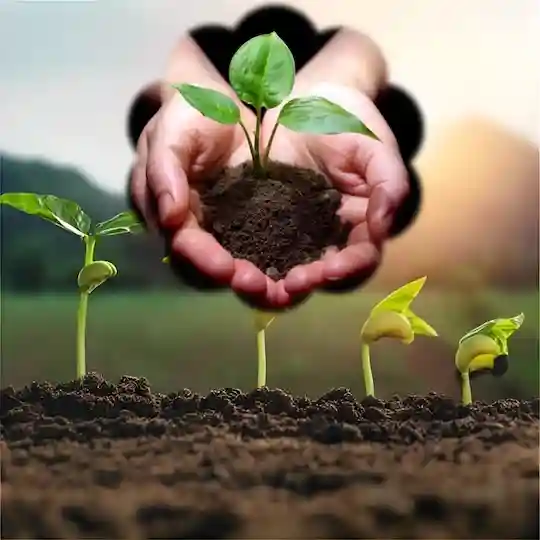 Organic and Natural Farming
