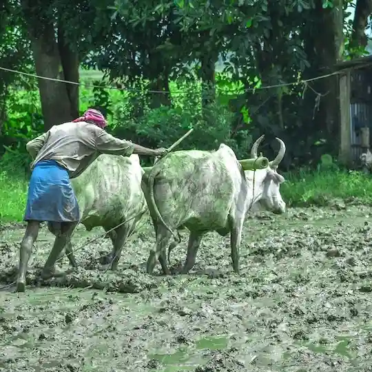 kisano se judi khabre hindi